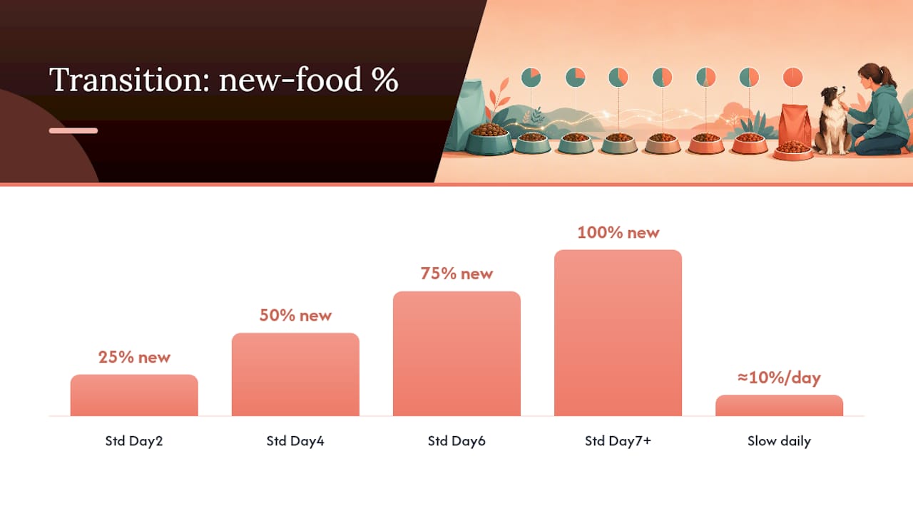 Diagram of dog food transition schedules and portion percentages