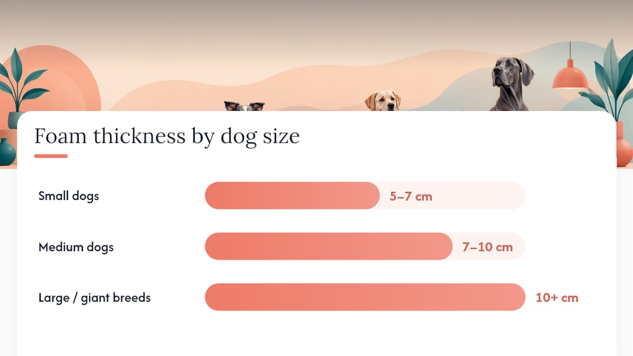 Foam thickness guidance by dog size