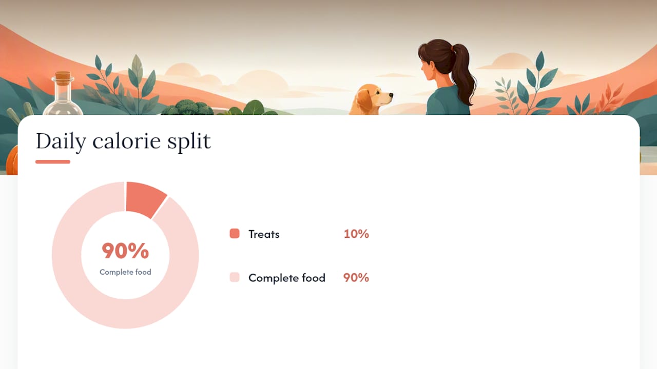 How much human food can dogs eat safely? — overview diagram