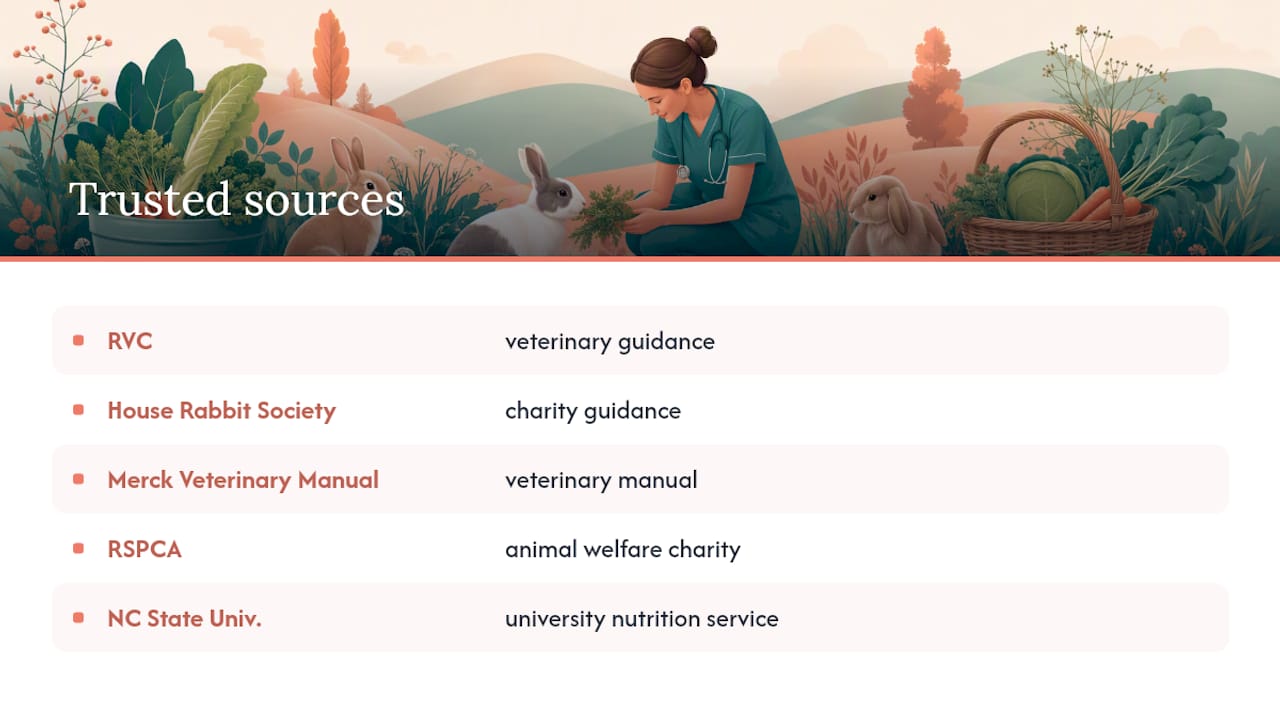 Why trust this guide to safe rabbit feeding — overview diagram