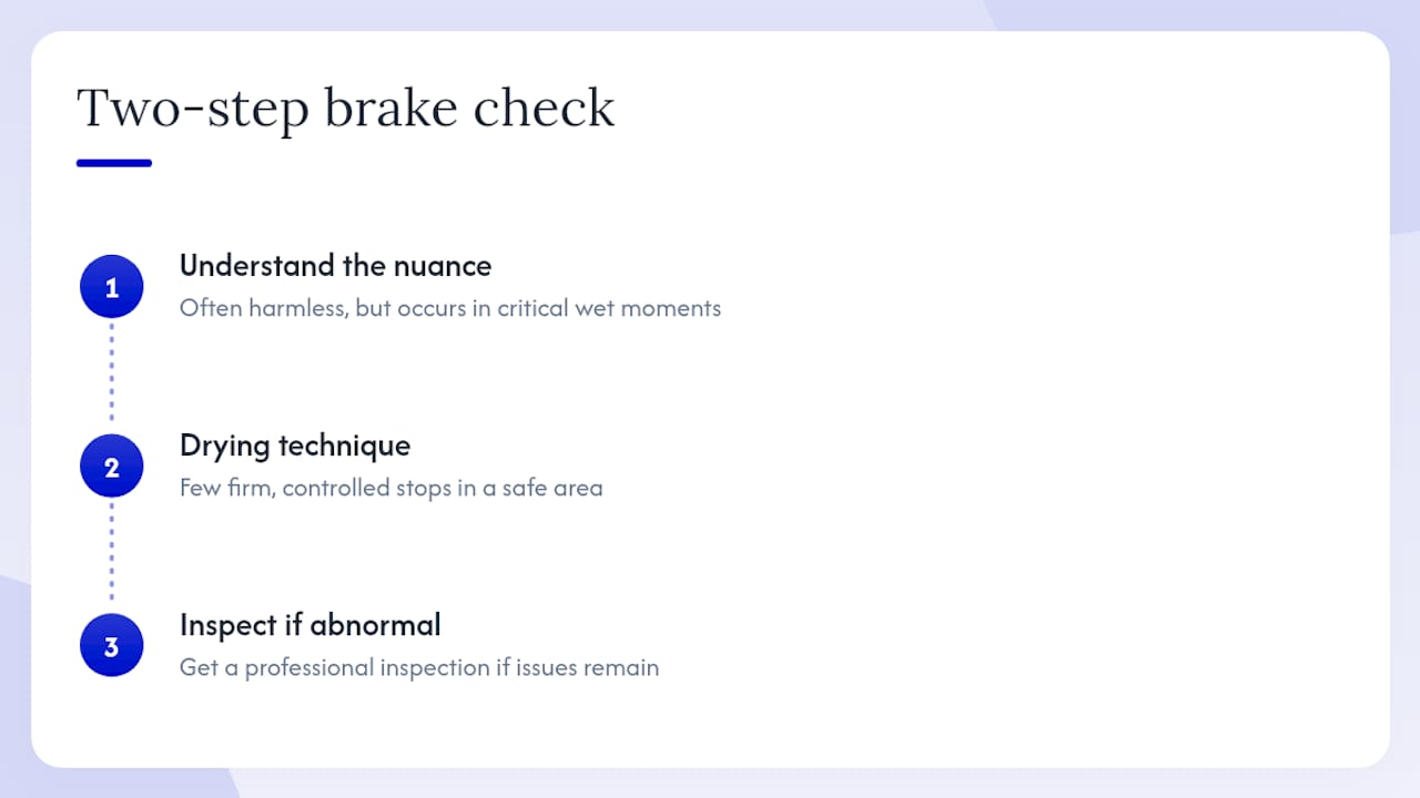 The Nuance Drivers Miss About Wet Brake Noise — overview diagram