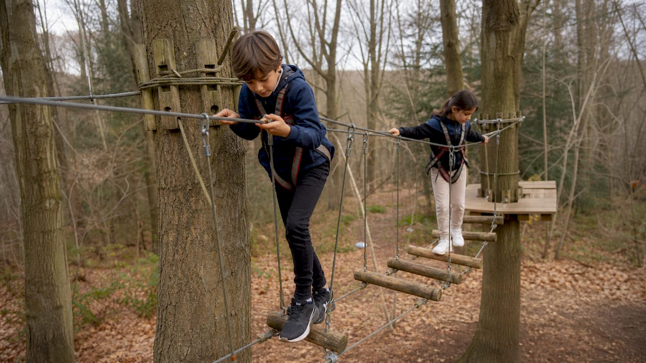 Des enfants s'amusent à grimper dans les parcours d'accrobranche, entre les arbres, en profitant des sensations et de l'aventure en pleine nature.