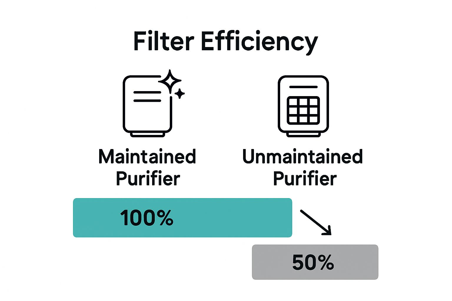 Comparison of maintained versus unmaintained purifier efficiency