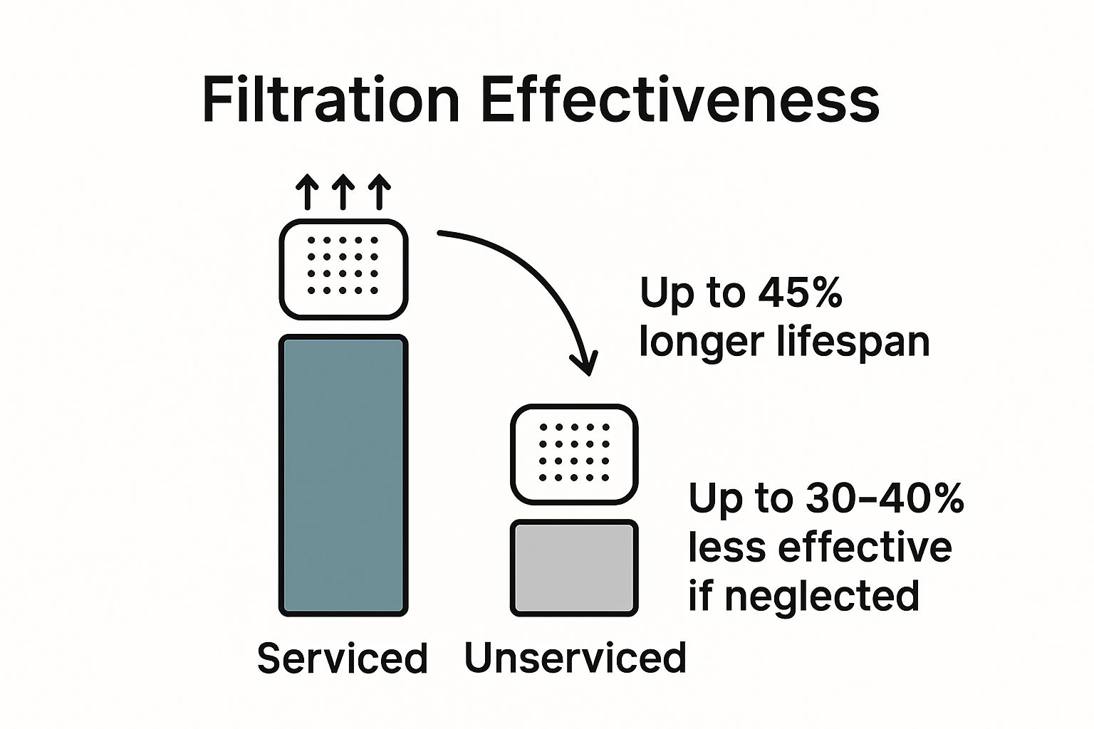 Infographic comparing purifier lifespan with and without service