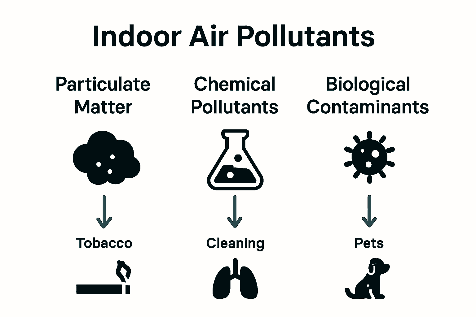 Comparison infographic showing types of indoor pollutants, sources, and health effects.