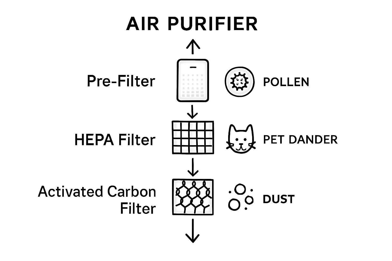 Infographic of air purifier filtration process