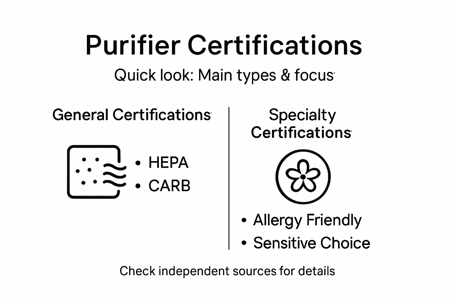 Infographic on types of purifier certifications
