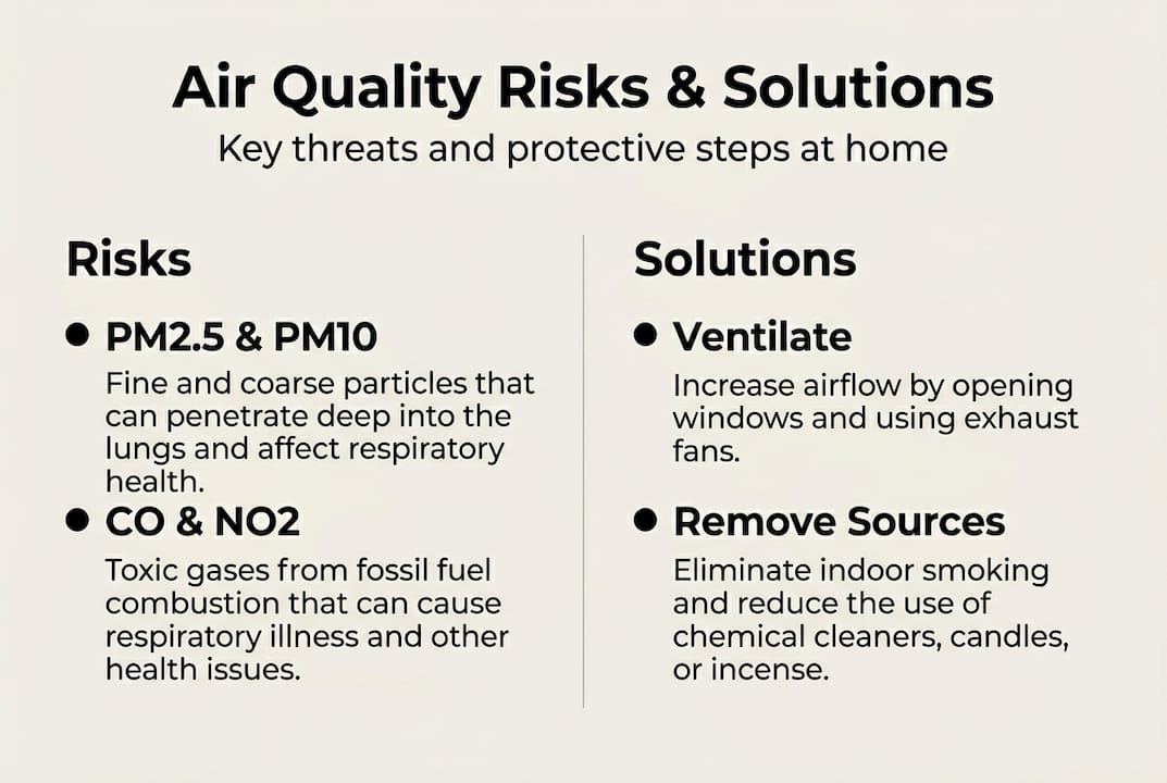 Infographic on air quality risks and solutions