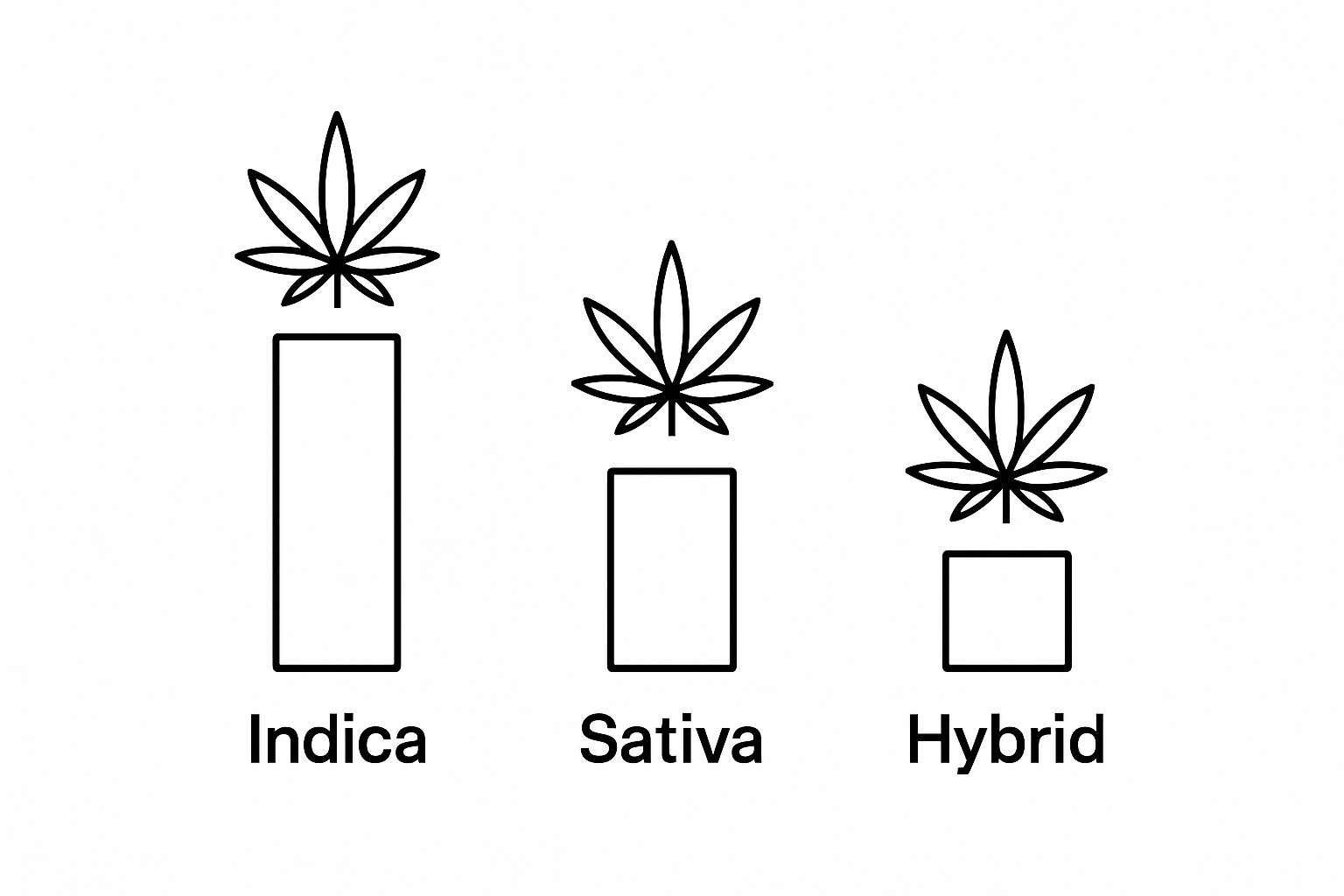 Infographic showing typical THC concentration ranges for Indica, Sativa, and Hybrid cannabis strains.