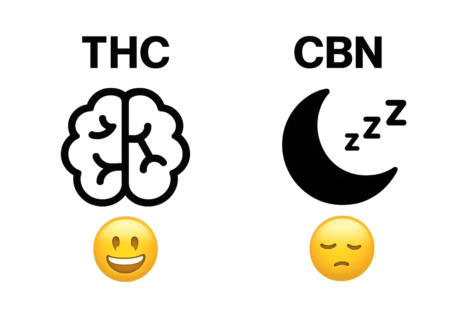Side-by-side THC and CBN comparison graphic with key effects visually illustrated