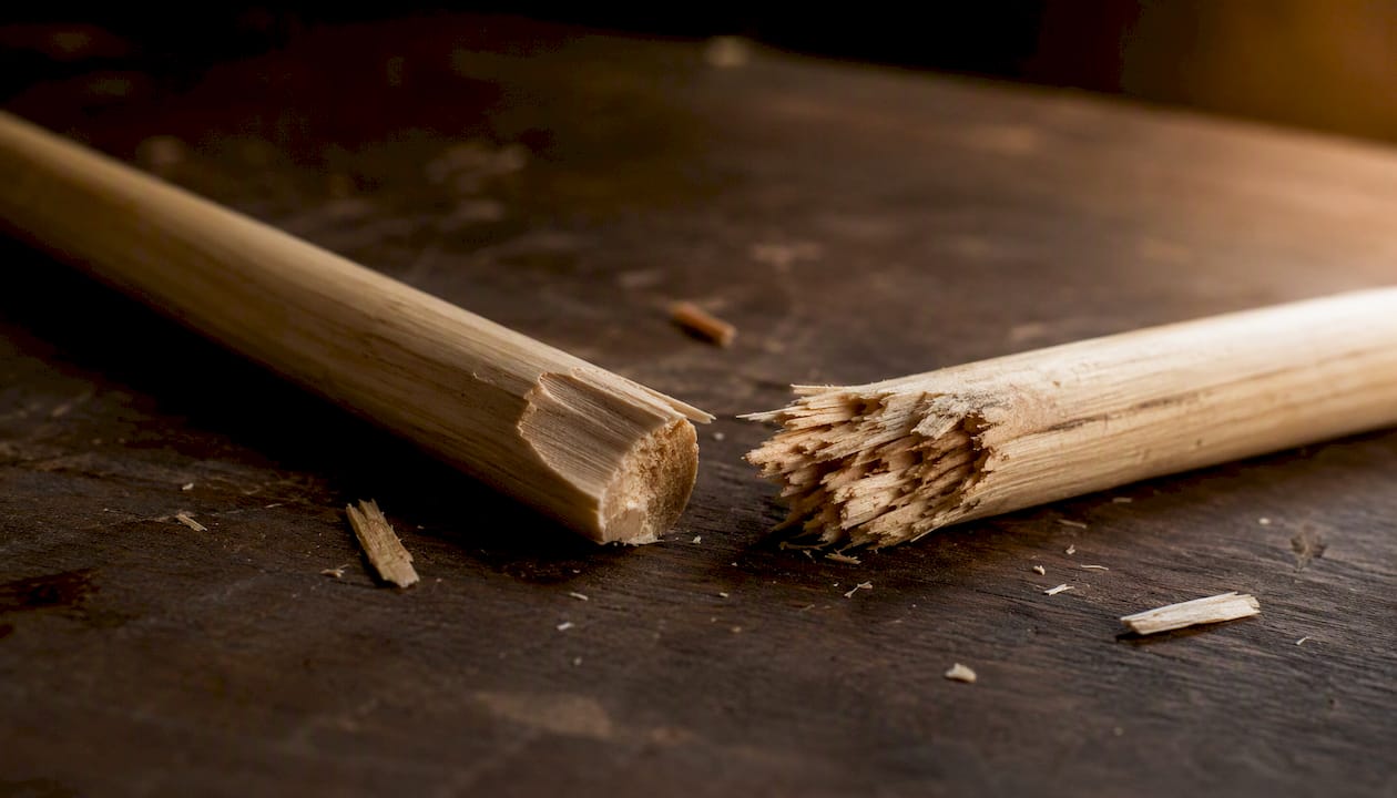 Close-up of maple broken stick and hickory splintered stick