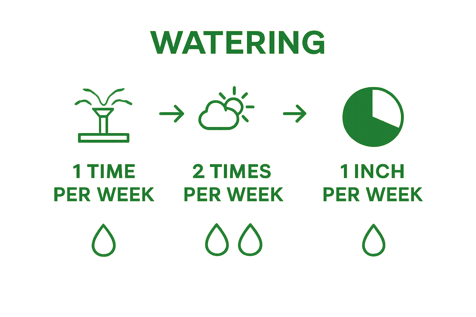 Comparing lawn watering frequencies per week with simple icons