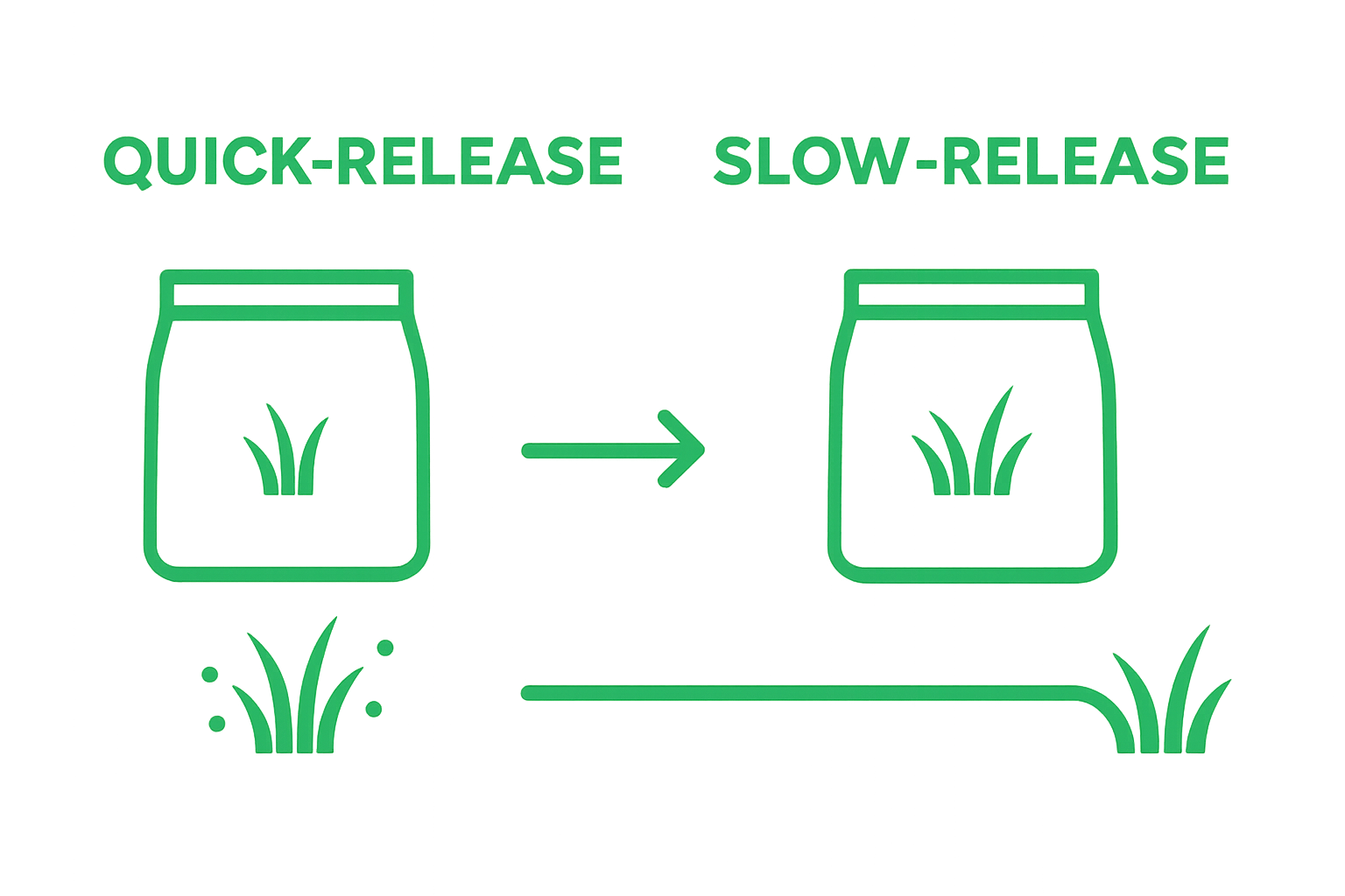 Infographic comparing quick-release and slow-release lawn fertilizers