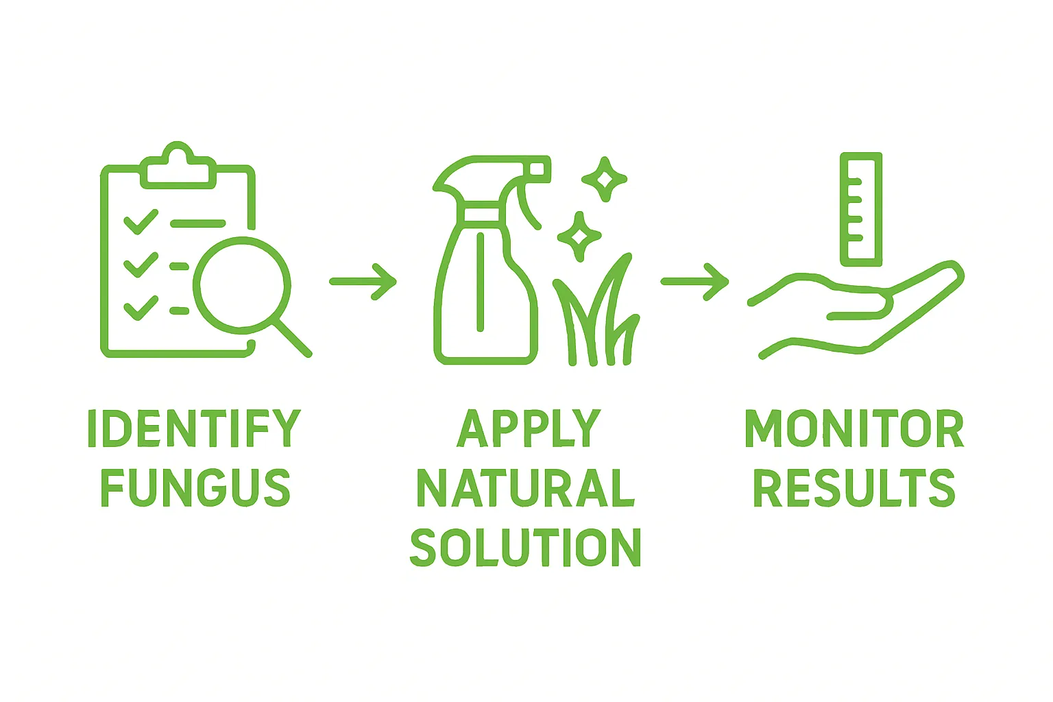 Step-by-step icons for natural lawn fungus treatment: identify, treat, monitor.