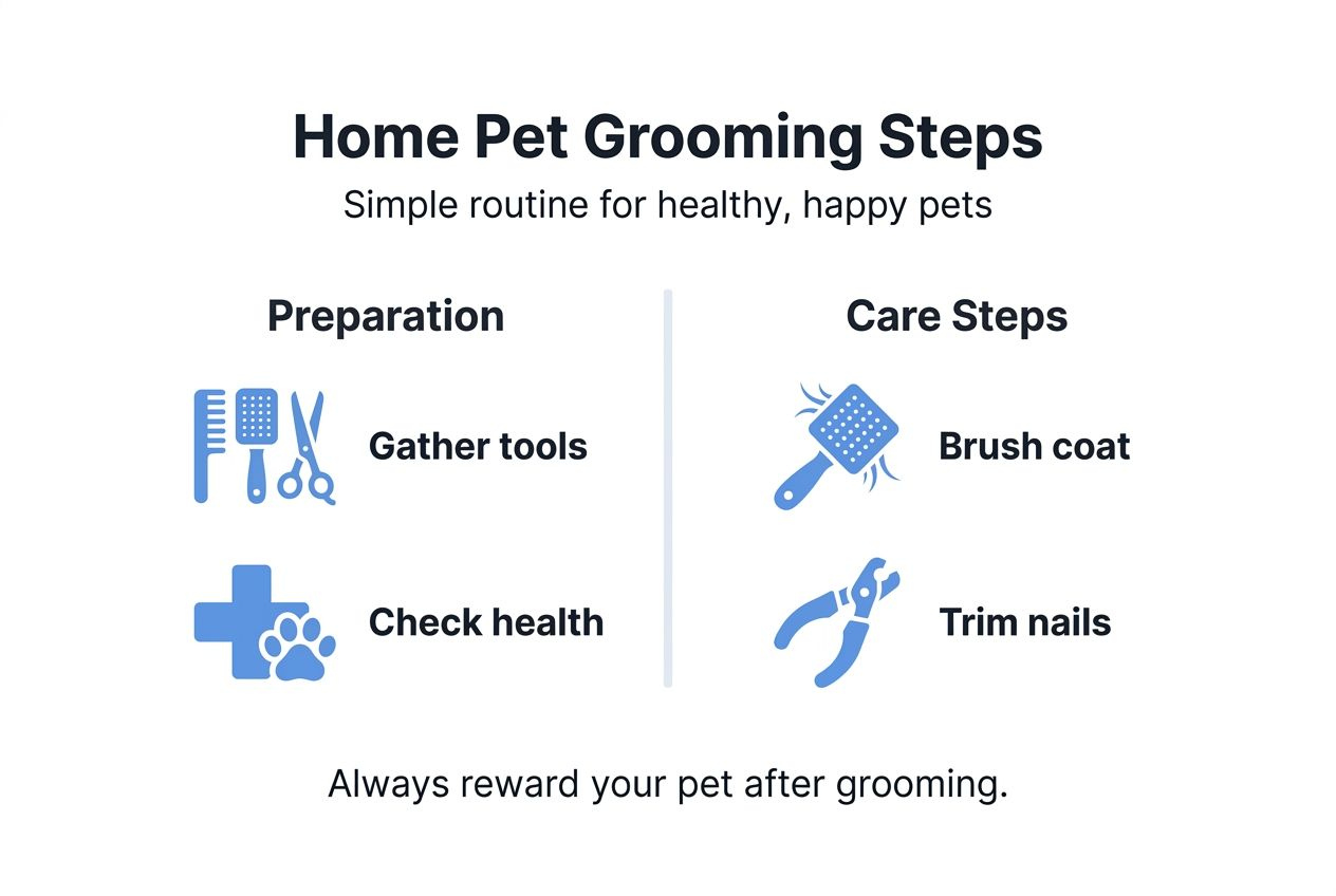 Infographic showing home pet grooming steps