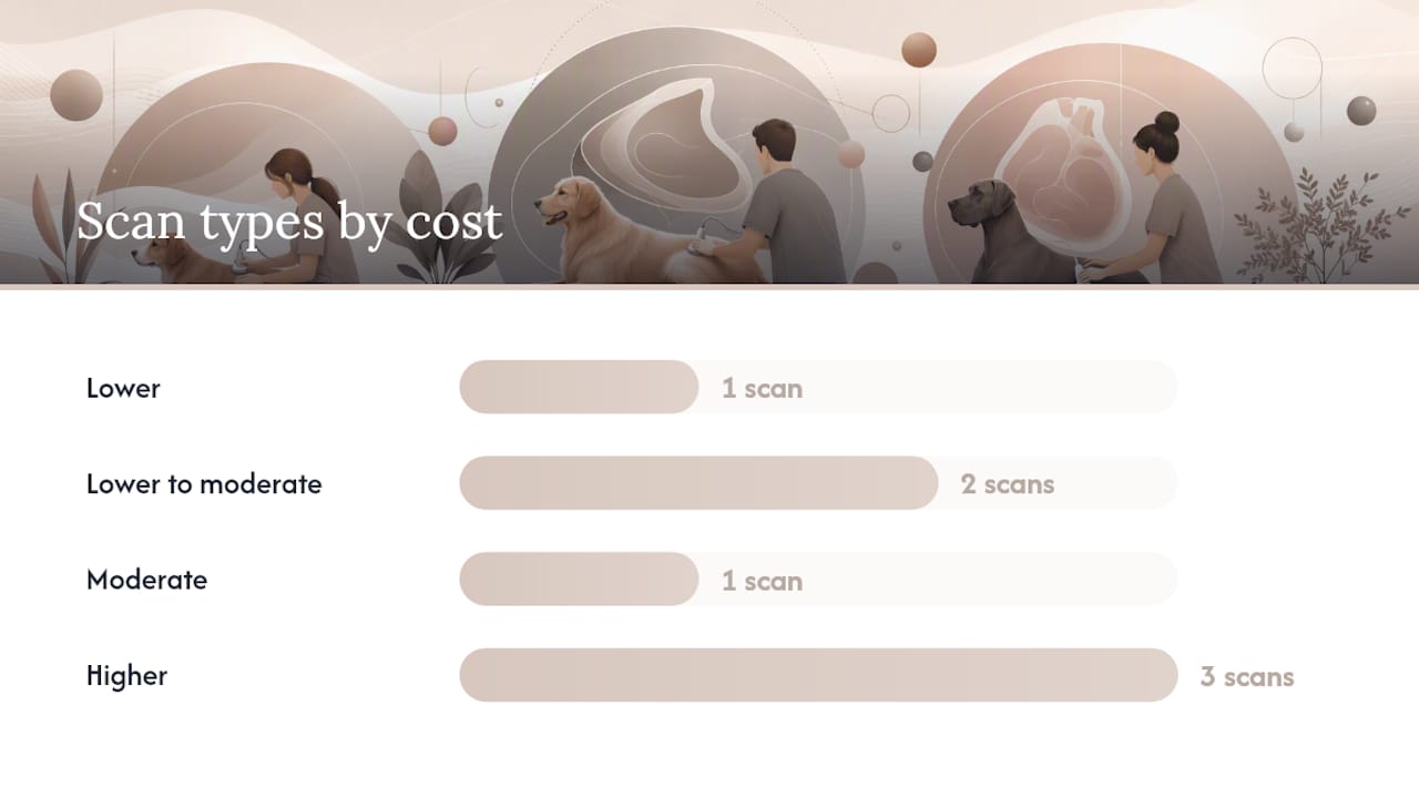 Comparison diagram of dog ultrasound scan types and costs