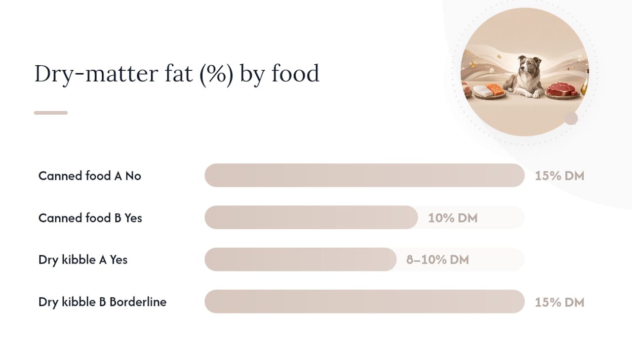 Diagram comparing dog food fat percentages