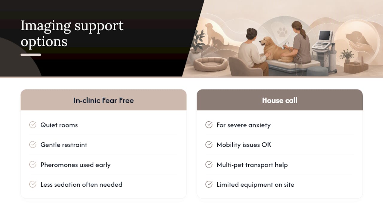 How City Animal Veterinary Center Supports Anxious Pets Through Imaging — overview diagram