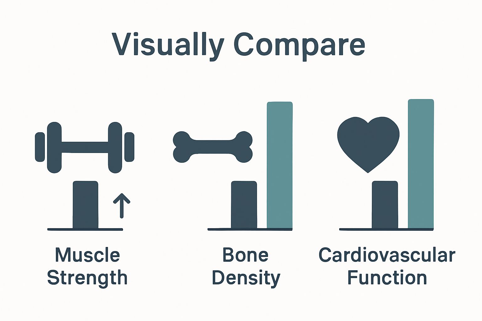 Simple chart showing seniors' strength, bone density, and heart health improvements.