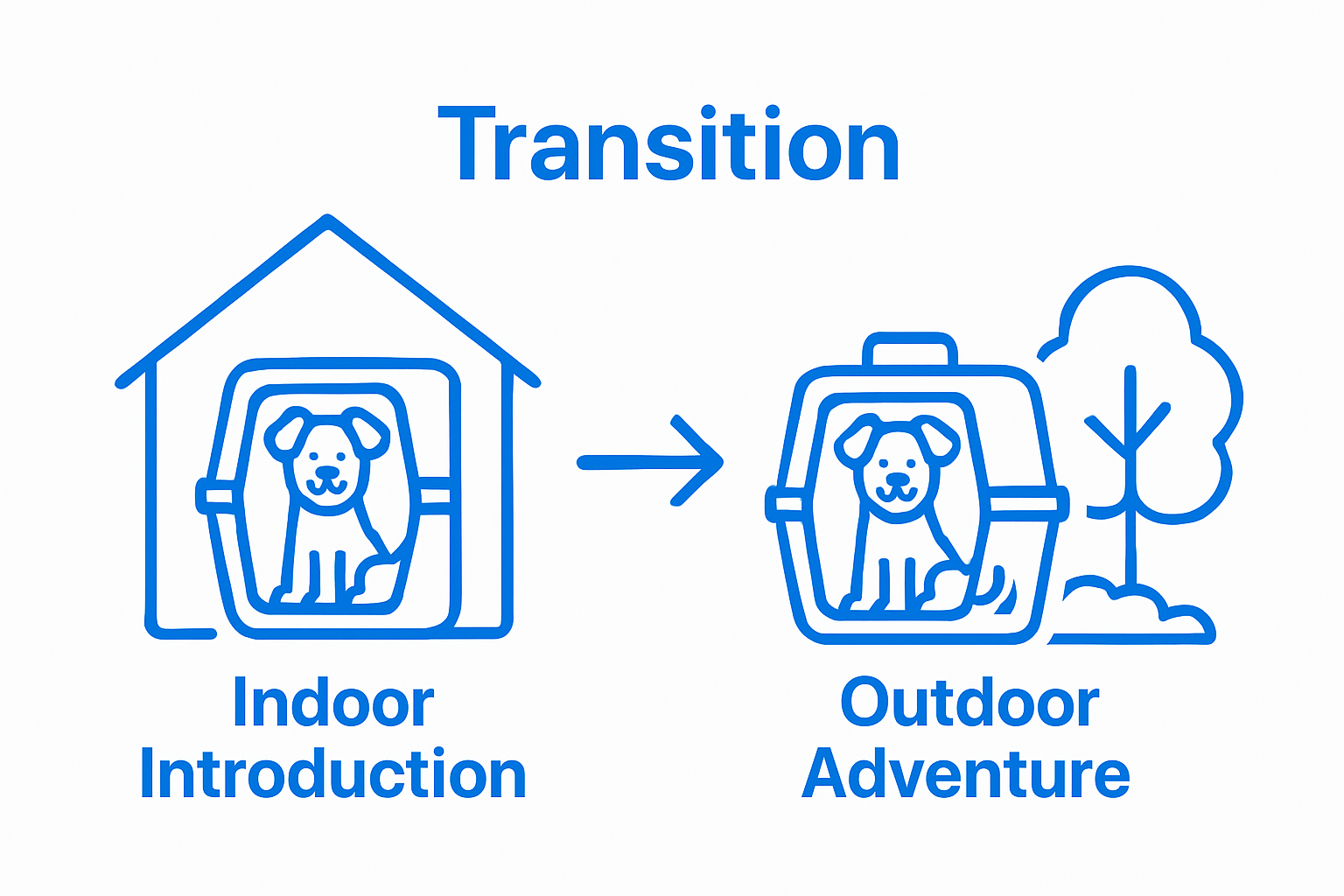 Dog adapts from indoor to outdoor carrier use