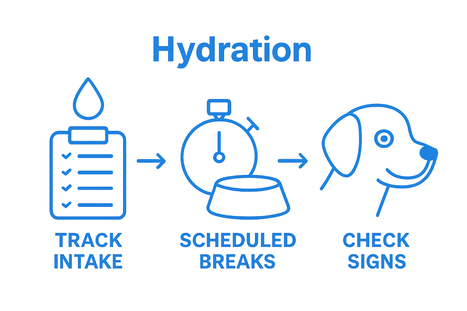 Pet hydration tracking, scheduled water breaks, and health check visual workflow