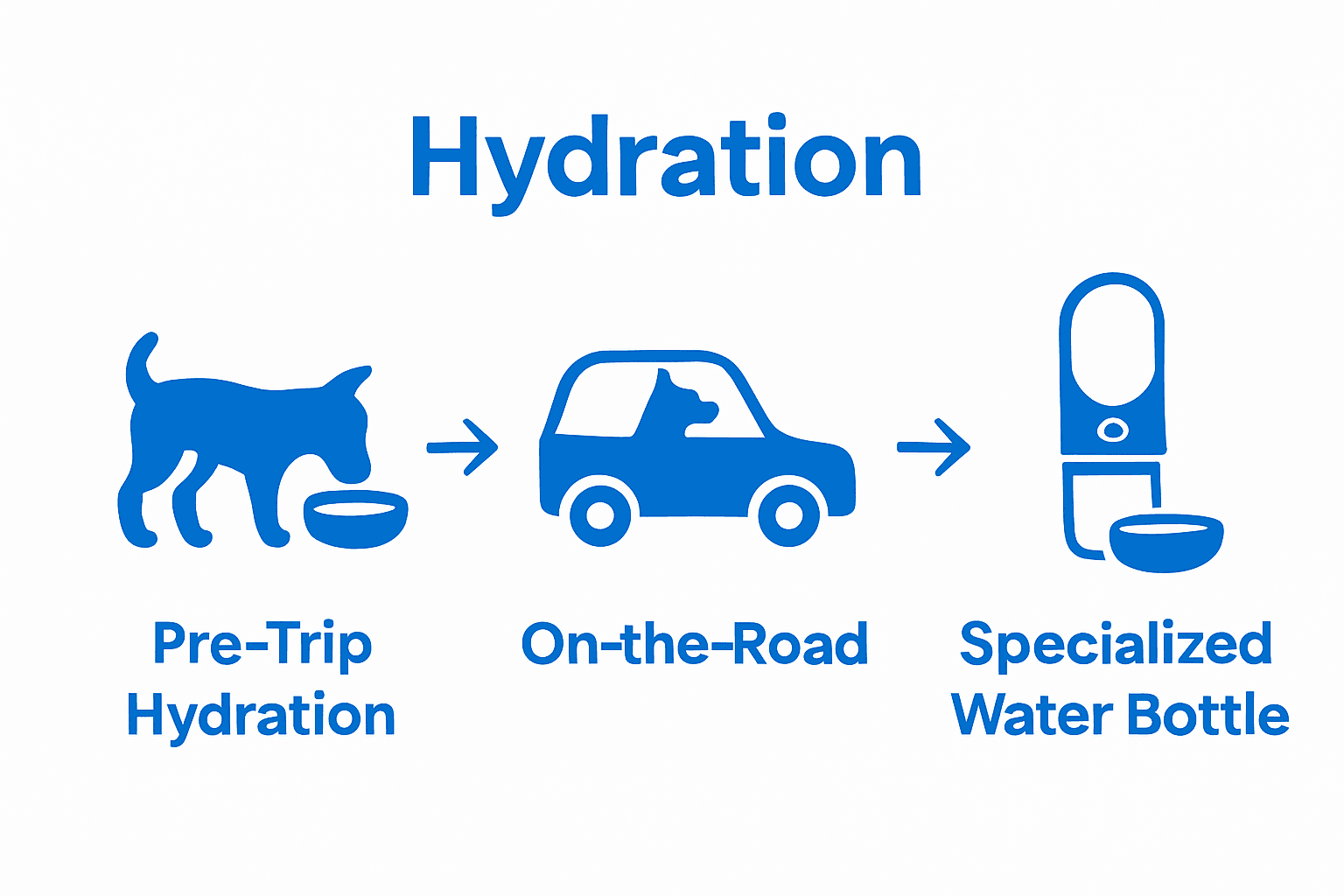 Dog hydration before and during travel, step-by-step