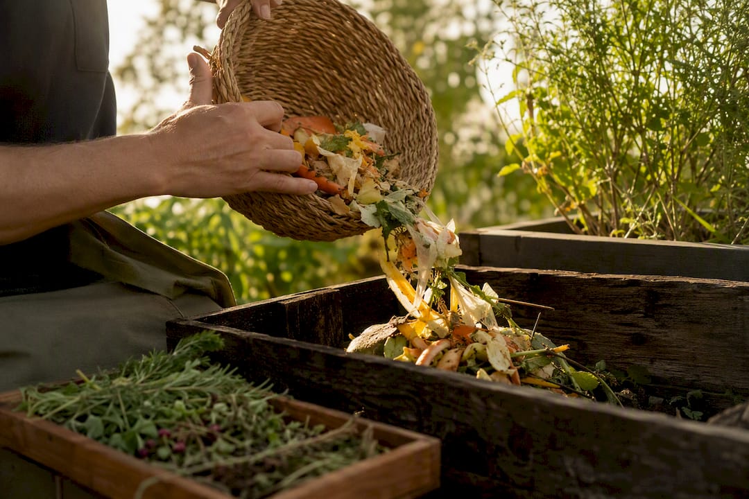 Hand pouring biodegradable waste into compost bin