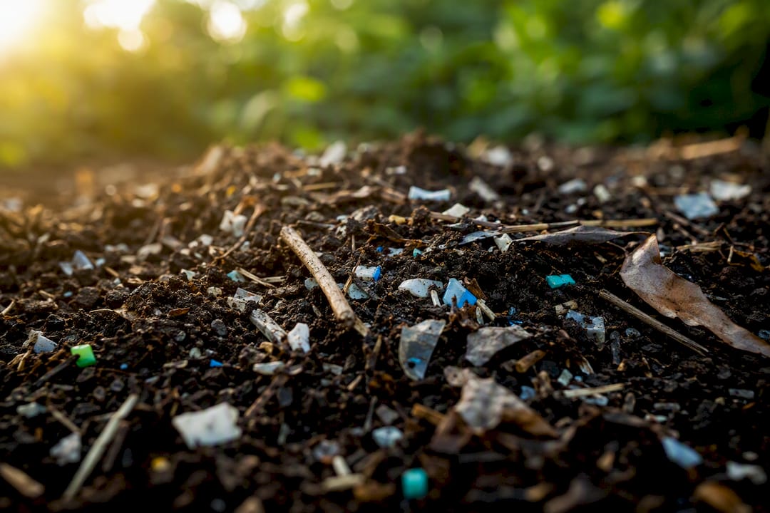 Microplastic fragments mixed in soil and leaves