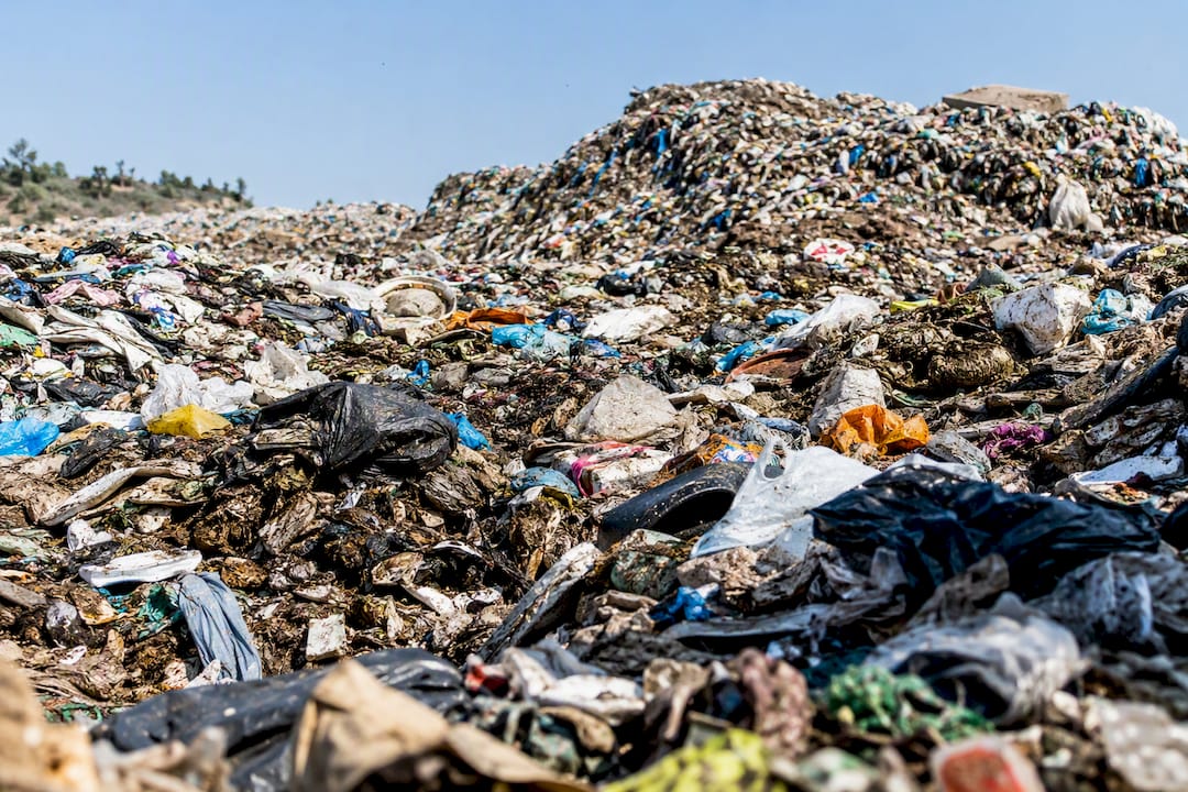 Close-up of decomposing waste in landfill