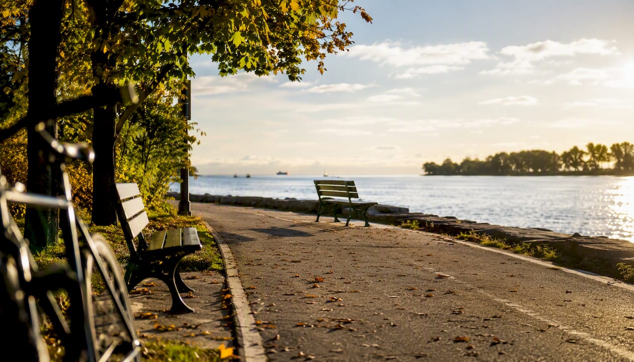 Empty paved bike trail along Toronto waterfront