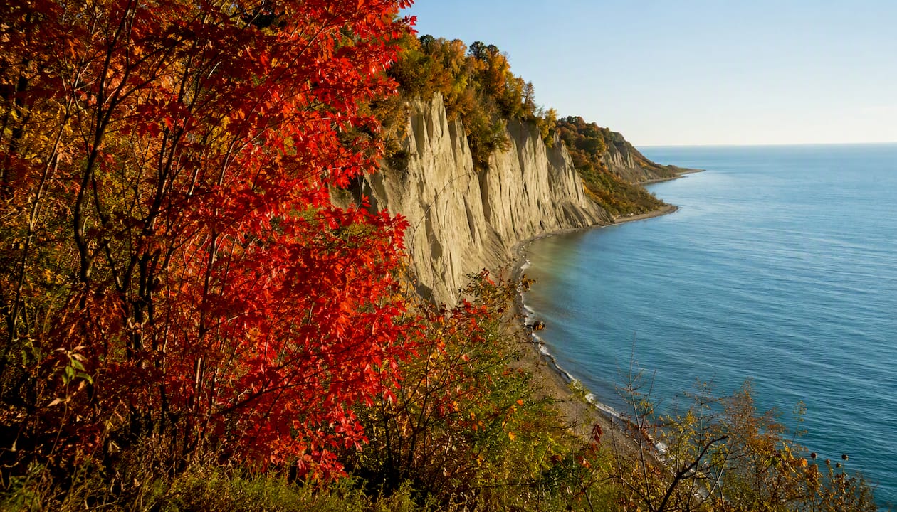 Colorful red maples and blue lake at Scarborough Bluffs