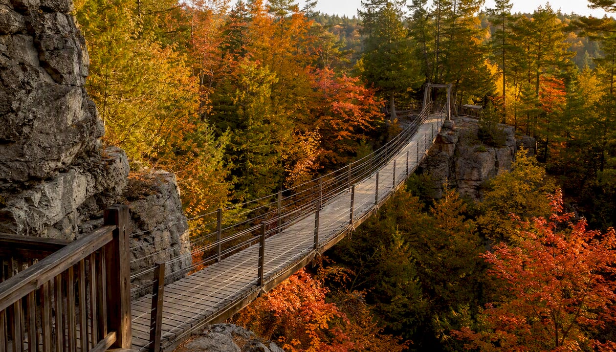 Suspension bridge amid fall colours at Blue Mountain