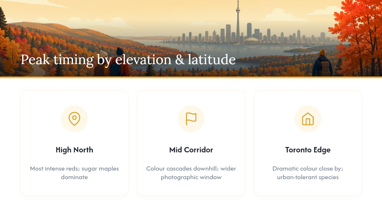 Diagram of fall colour timing by elevation and latitude