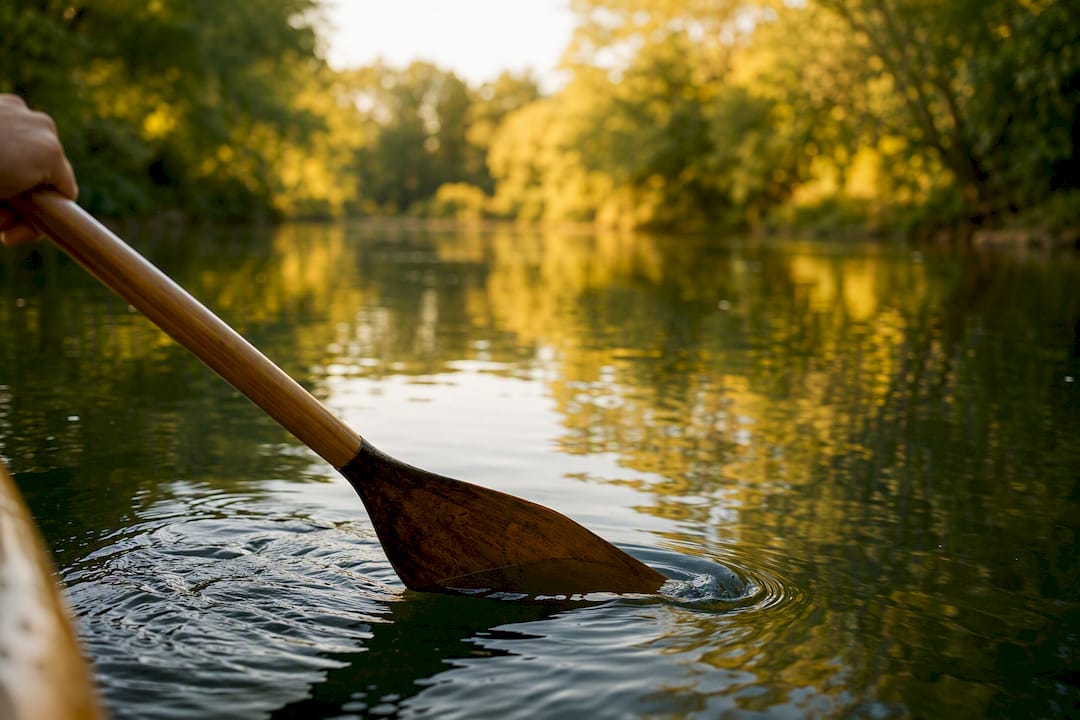 Paddle skimming Humber River with tree reflections
