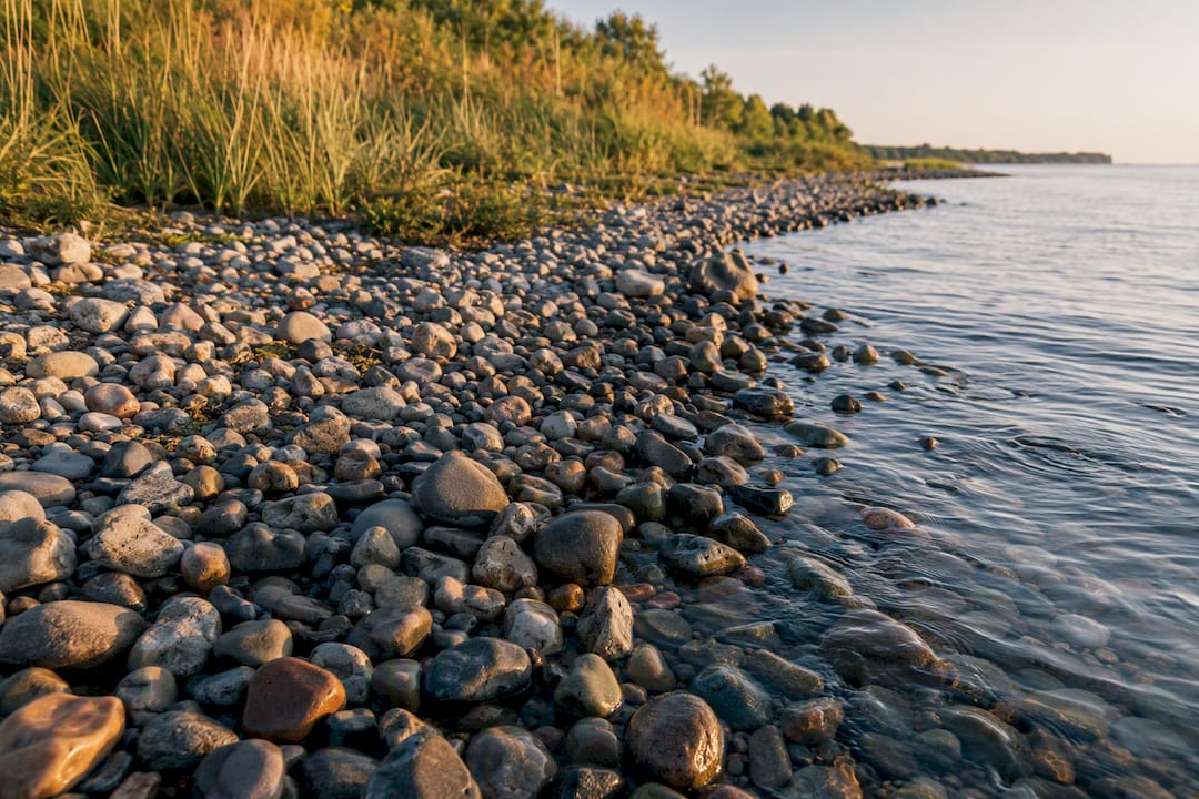 Cobble beach at Rattray Marsh