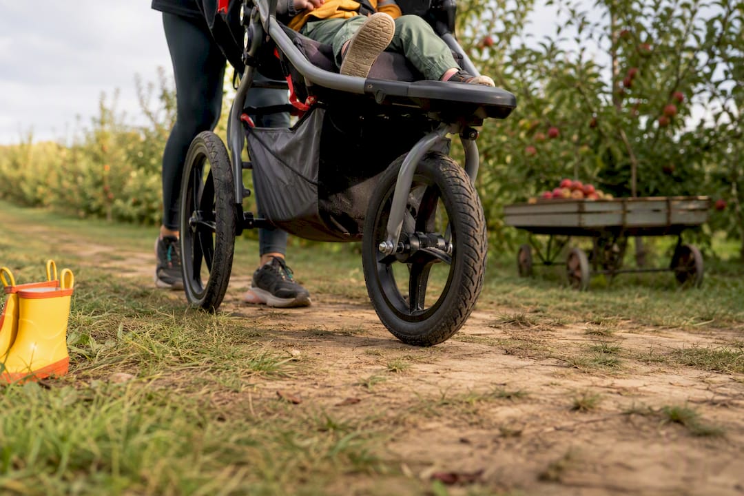 Jogging stroller crossing an orchard dirt row