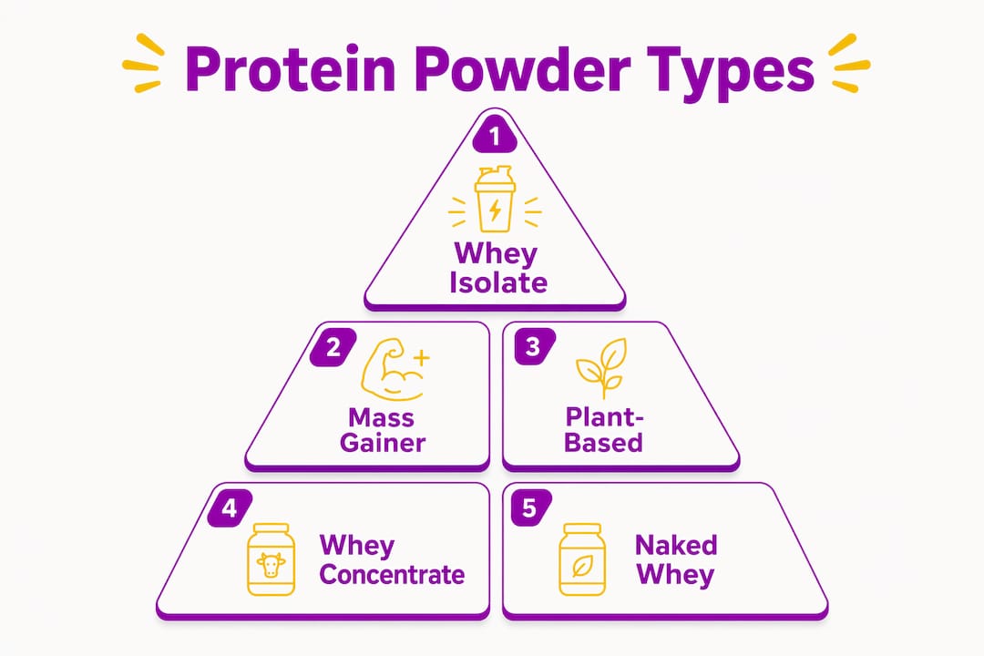 Infographic showing ranked protein powder types