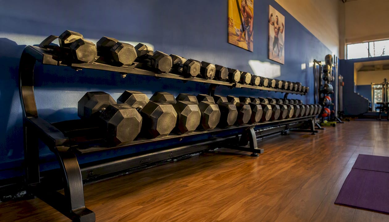 Rack of fixed-weight hex dumbbells in gym