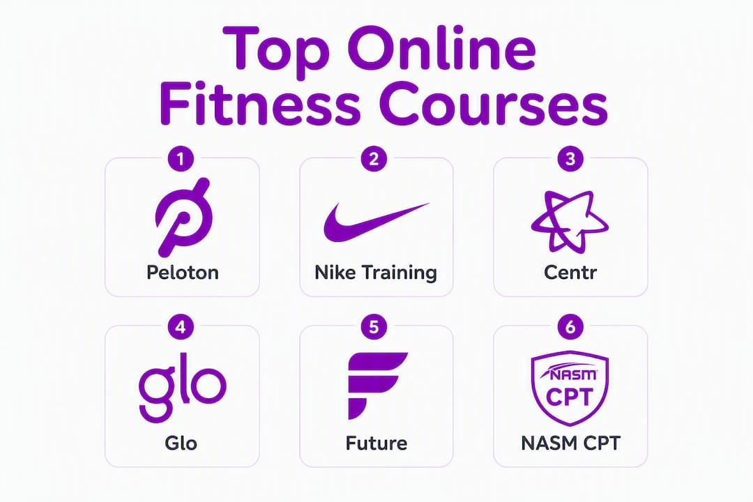 Infographic showing top online fitness courses hierarchy