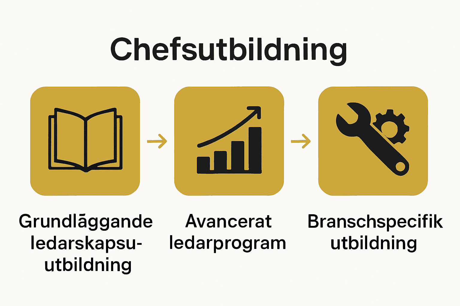 Infografik som jämför tre huvudtyper av chefsutbildningar