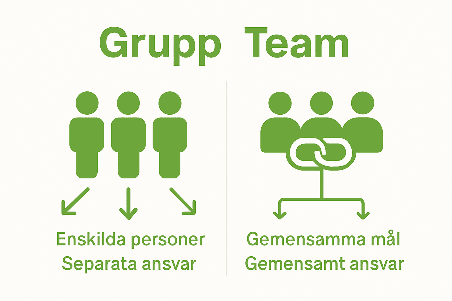 Infografik som jämför arbetsgrupp och team