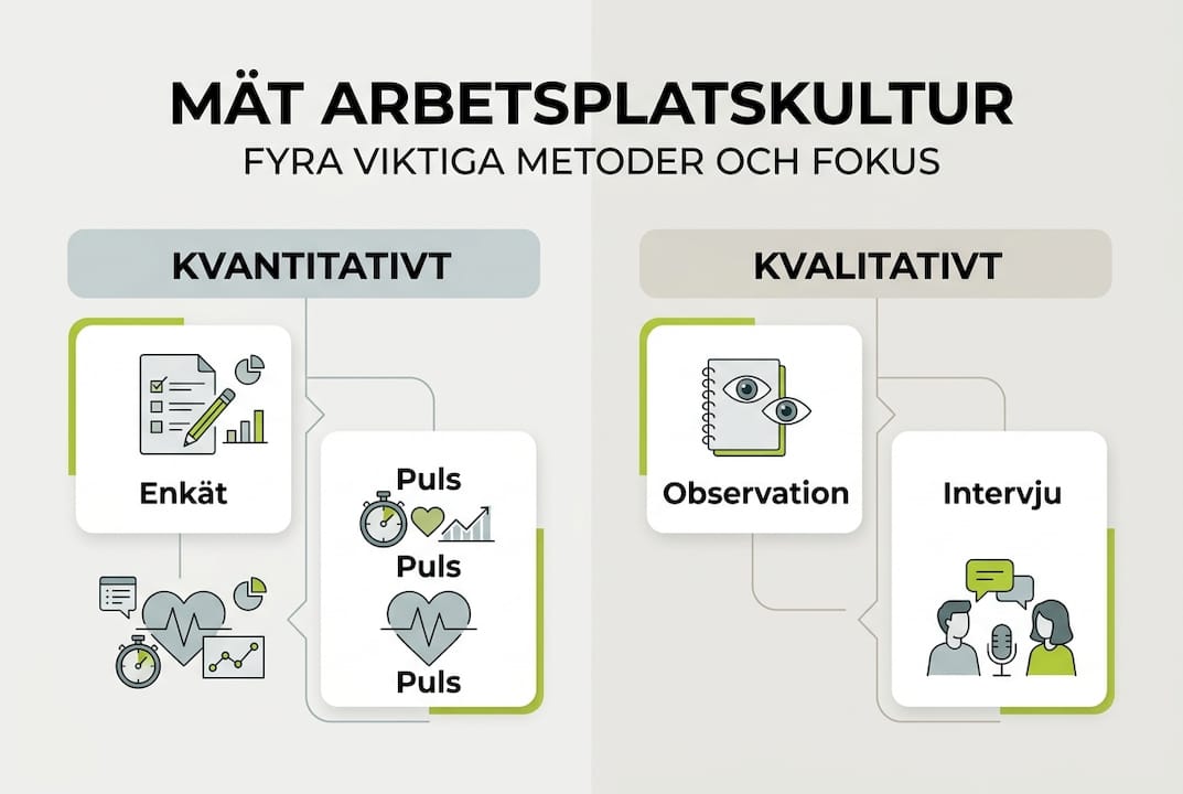 Grafisk översikt: Så mäter du kulturen på din arbetsplats