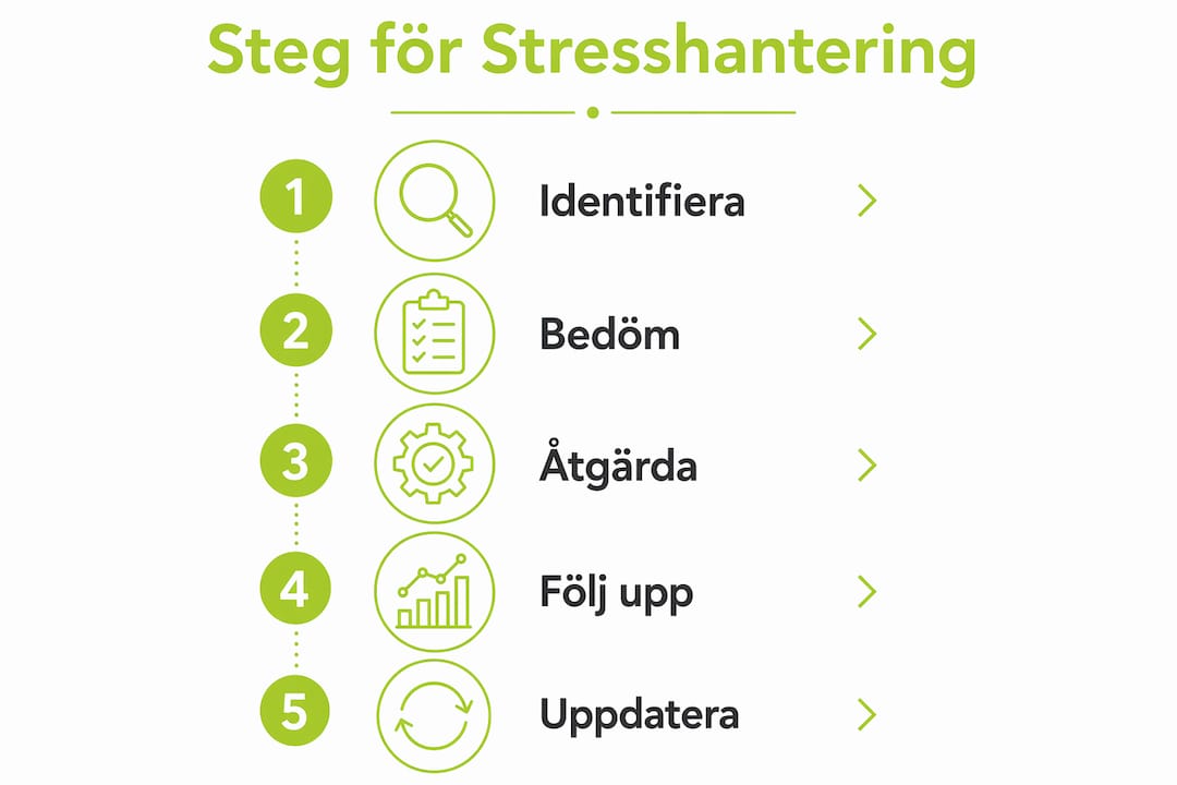 Grafisk översikt: Så tar du dig igenom stresshantering steg för steg