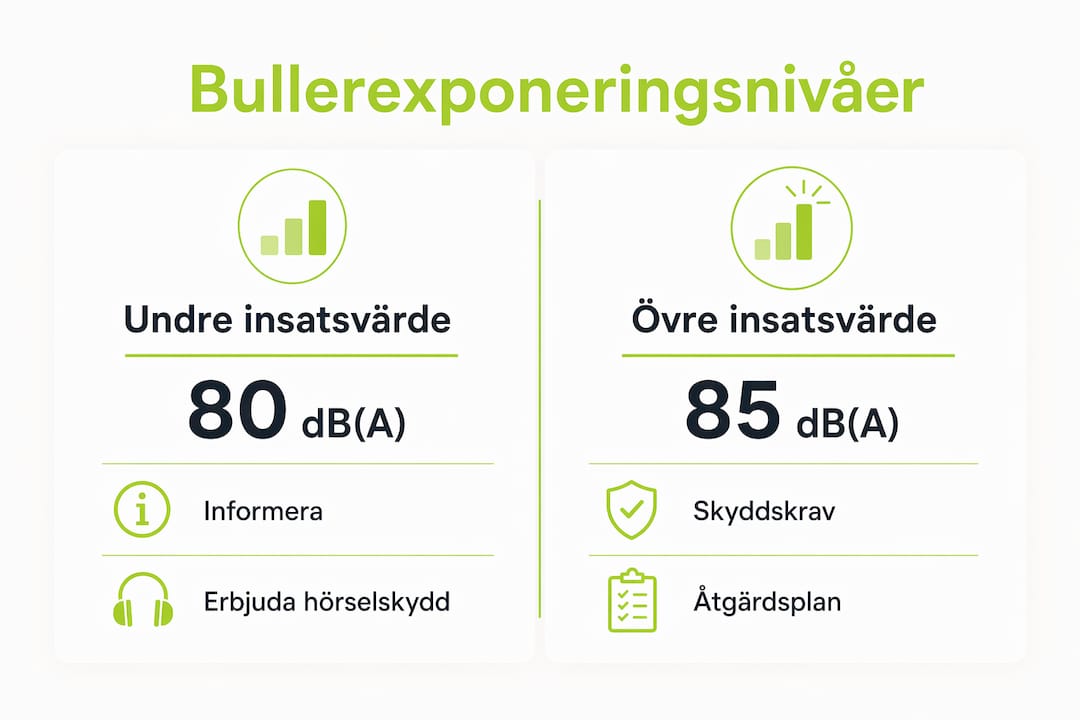 Illustration som visar olika nivåer av buller på jobbet – och vad arbetsgivaren faktiskt är skyldig att göra enligt lagen.