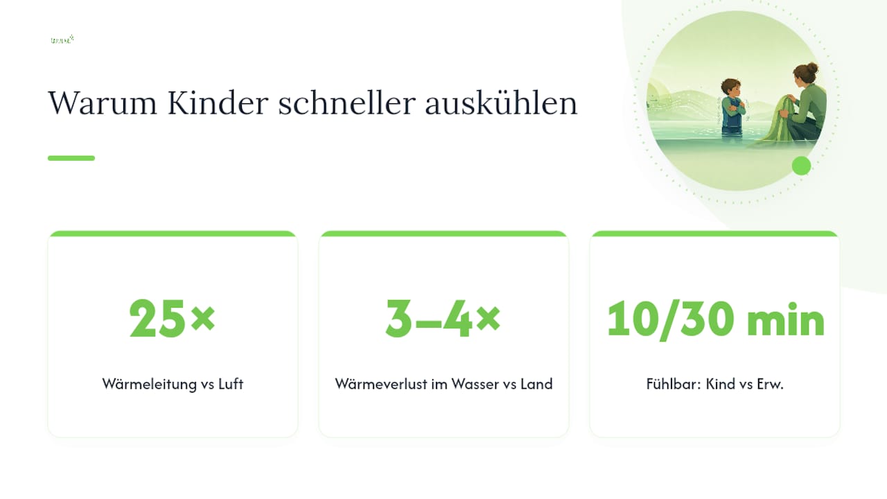 Warum kühlen Kinder im Wasser schneller aus als Erwachsene? — overview diagram