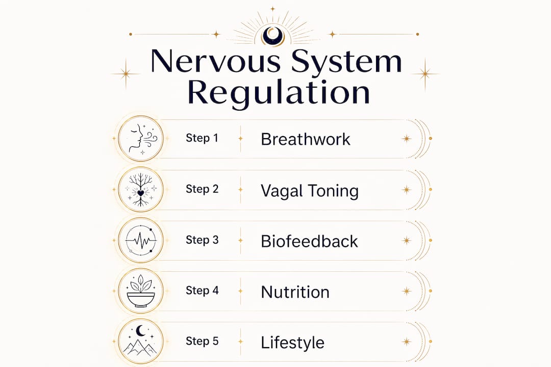 Infographic showing five nervous system regulation steps