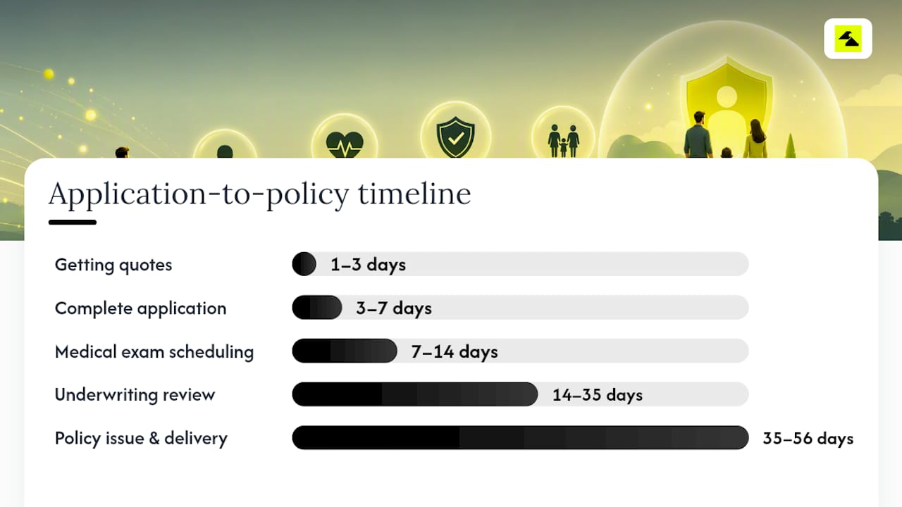 From application to issued policy: what the timeline looks like — overview diagram