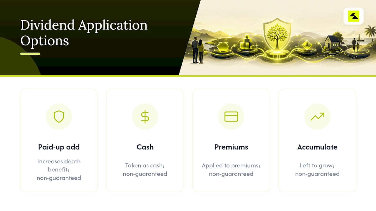 Whole life dividend application options
