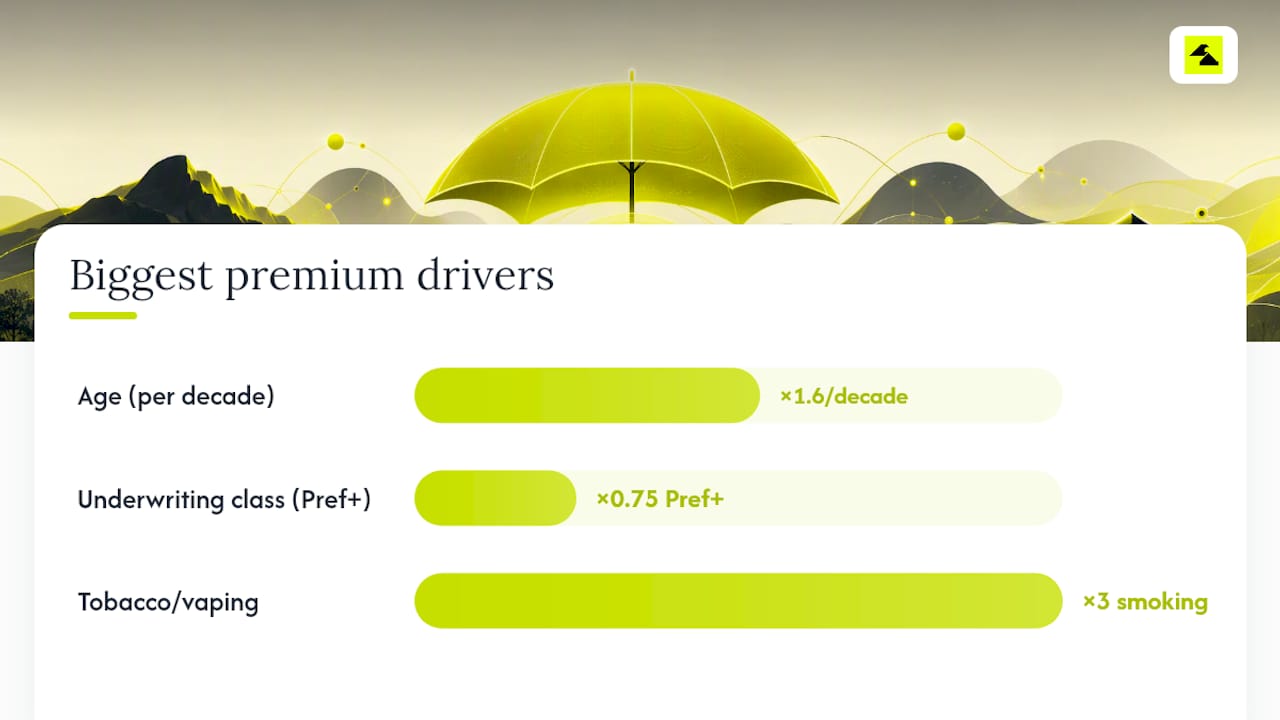 What Factors Change Your Whole Life Premium the Most? — overview diagram