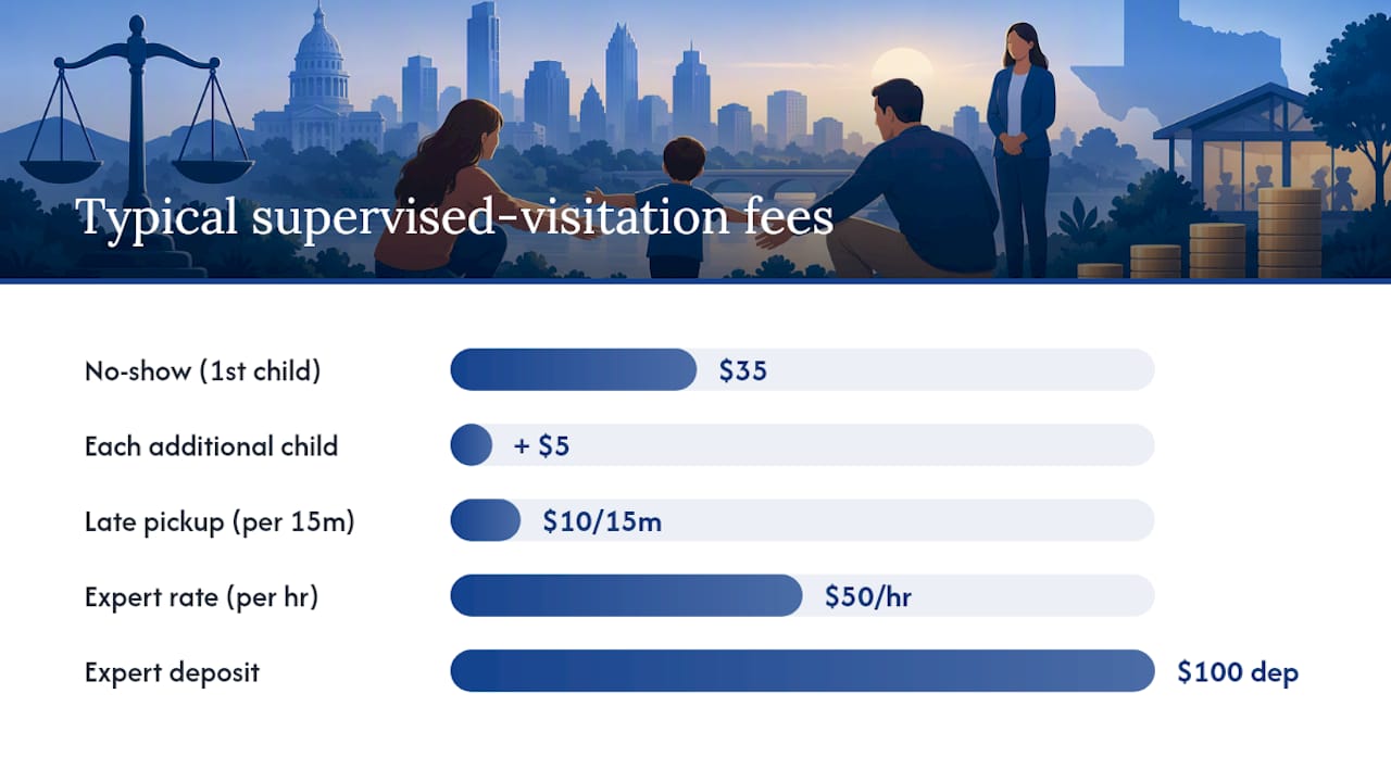 Who Pays for Supervised Visitation in Texas? — overview diagram